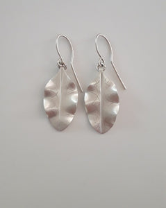 Tarata Silver Earrings