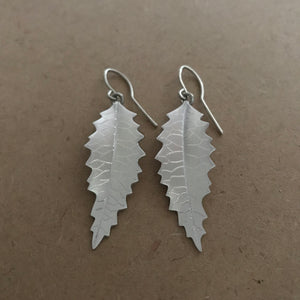 Houhere (lacebark) silver earrings